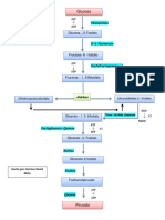 Pasos de La Glucolisis