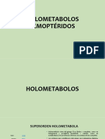 Holometabolos