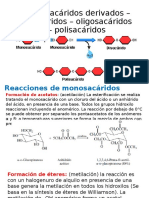 Monosacáridos Derivados - Disacáridos - Oligosacáridos - Polisacáridos