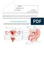 Guia N°7 Ciencias 6to 1 PDF