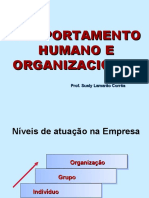 Comportamento Organizacional