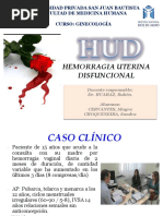 Diapos Hud PDF