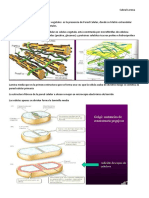 Trabajo Practico n0 1.3 Biologia