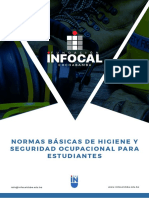 Normas Basicas Hso PDF