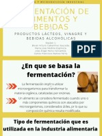 Fermentación de Alimentos y Bebidas