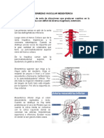 Enfermedad Vascular Mesenterica