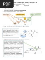 Famacoquimica Concluido