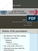 The Bali Action Plan and The Way To Copenhagen: Ifad 1 CLIMTRAIN Workshop, July 2008