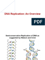 DNA Replication: An Overview