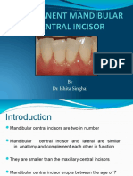 Mandibular Central Incisor