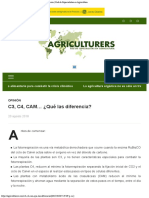 C3, C4, CAM ¿Qué Las Diferencia - Agriculturerscom Red de Especialistas en Ag PDF