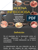 Cadena Infecciosa PDF