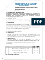 13) TDR Servicios