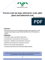 Process Scale Up Steps, Laboratory Scale, Pilot Plant and Industrial Scale