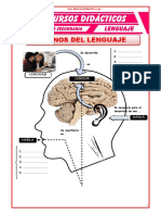 Planos Del Lenguaje para Cuarto de Secundaria