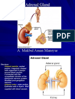 Insufisiensi Adrenal (Dr. Makbul)