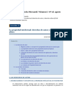 R11-La Propiedad Intelectual Derechos de Autor y Derechos Afines