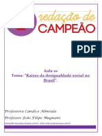 Raízes Da Desigualdade Social No Brasil