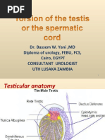 Dr. Bassem W. Yani, MD Diploma of Urology, FEBU, FCS, Cairo, EGYPT Consultant Urologist Uth Lusaka Zambia