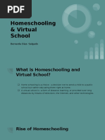 Homeschooling Virtual School Lesson Plan