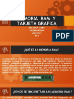 Memoria Ram y Tarjeta Grafica