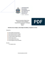 Estudio de Ventajas y Desventajas de Diálisis y Trasplante de Riñón PDF