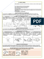 Documento Cuarto PDF