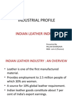 Industrial Profile-Leather Industry