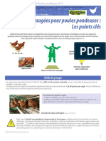 Fiche Pondeuse Cage Amenagee