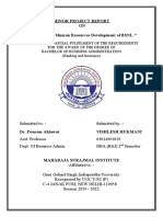 Minor Project Report ON " Evaluation of Human Resources Development of BSNL "