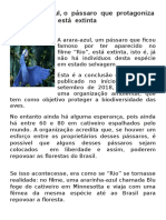 A Arara Azul - Noticia