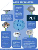 Infografia Histoplasma C