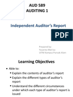 TOPIC 6 - Independent Auditor's Report