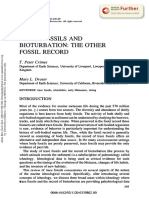 Trace Fossils and Bioturbation: The Other Fossil Record