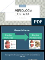 Embriología Dentaria