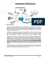 AVPN Overview PDF