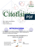 Citofisica Soluciones PDF