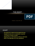 Cardiovascular - Heart