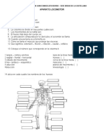 Aparato Locomotor