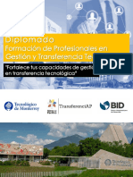 Brochure Diplomado Transferenciap PDF