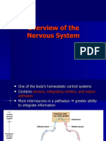 Overview of The Nervous System