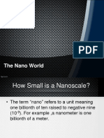 The Nano World