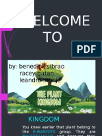 The Plant Kingdom