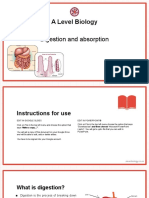 A Level Biology: Digestion and Absorption