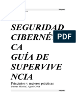 Cybersecurity Survival Guide Español