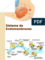 BIO 141 Clase 12 Sistema de Endomembranas