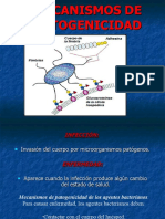 Clase 6 Mecanismos de Patogenicidad