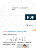 S2.1-PPT-Casos de Matrices-Teoría