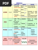 Biomolculacuadrppdf PDF