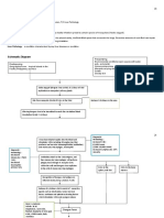 Pathophysiology Dengue 2